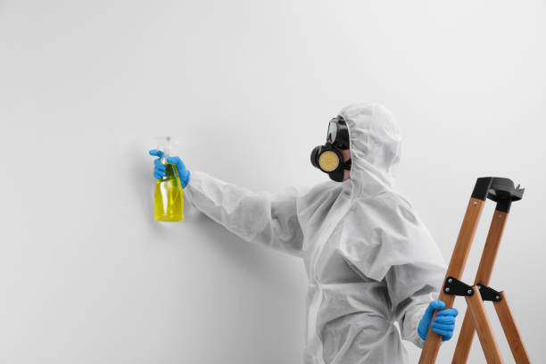 Best Residential Mold Inspection & Testing  in Myers Corner, NY