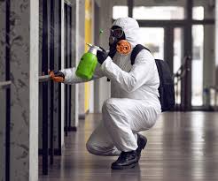 Best Commercial Mold Inspection  in Myers Corner, NY